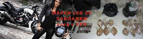 ГАЛЛЮЦИНОГЕННЫЕ ГРИБЫ Магас