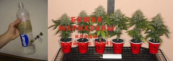 ГАЛЛЮЦИНОГЕННЫЕ ГРИБЫ Магас