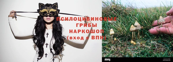 2c-b Майский