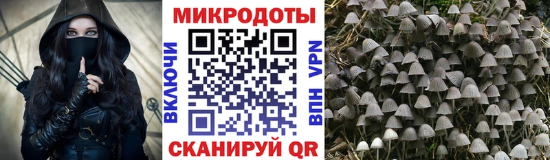 Псилоцибиновые грибы мухоморы  где продают наркотики  Миллерово 