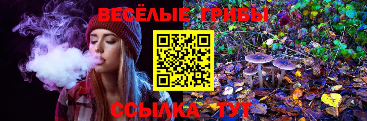 Миллерово  Псилоцибиновые грибы Cubensis  Псилоцибиновые грибы Psilocybine cubensis  Вход с VPN 